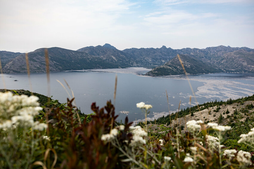 Spirit Lake is pictured from the Windy Ridge Trail on Wednesday, Sept. 3.