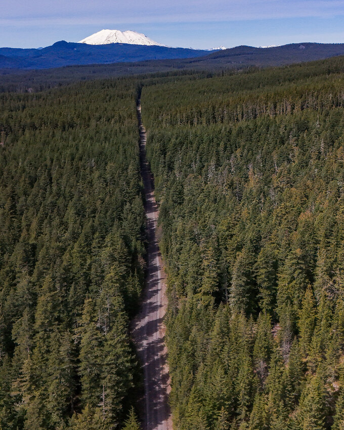 The U.S. Forest Service has filed a proposed rule to rescind the national 2001 Roadless Area Conservation Rule in order to open nearly 45 million acres of forest in 37 states to road construction, logging and other development.