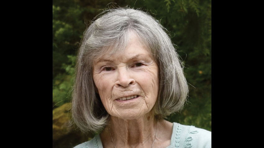 Dolores Currey Wolk