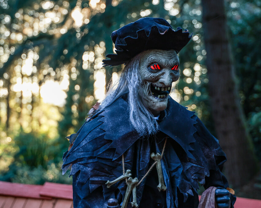 Halloween decorations fill the property of Linda and Gene Brungardt in Venersborg. The display, dubbed Spooktacular Haunted Acres is open to the public nightly from 5 p.m. to 9:30 p.m. through Halloween night.