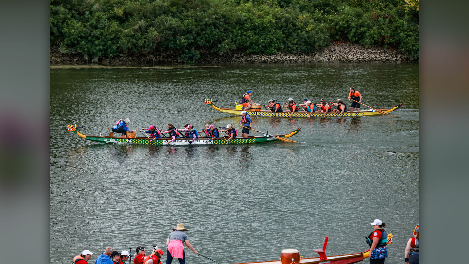 Paddle for Life: Dragon boating helps breast cancer survivors rediscover strength - The Reflector