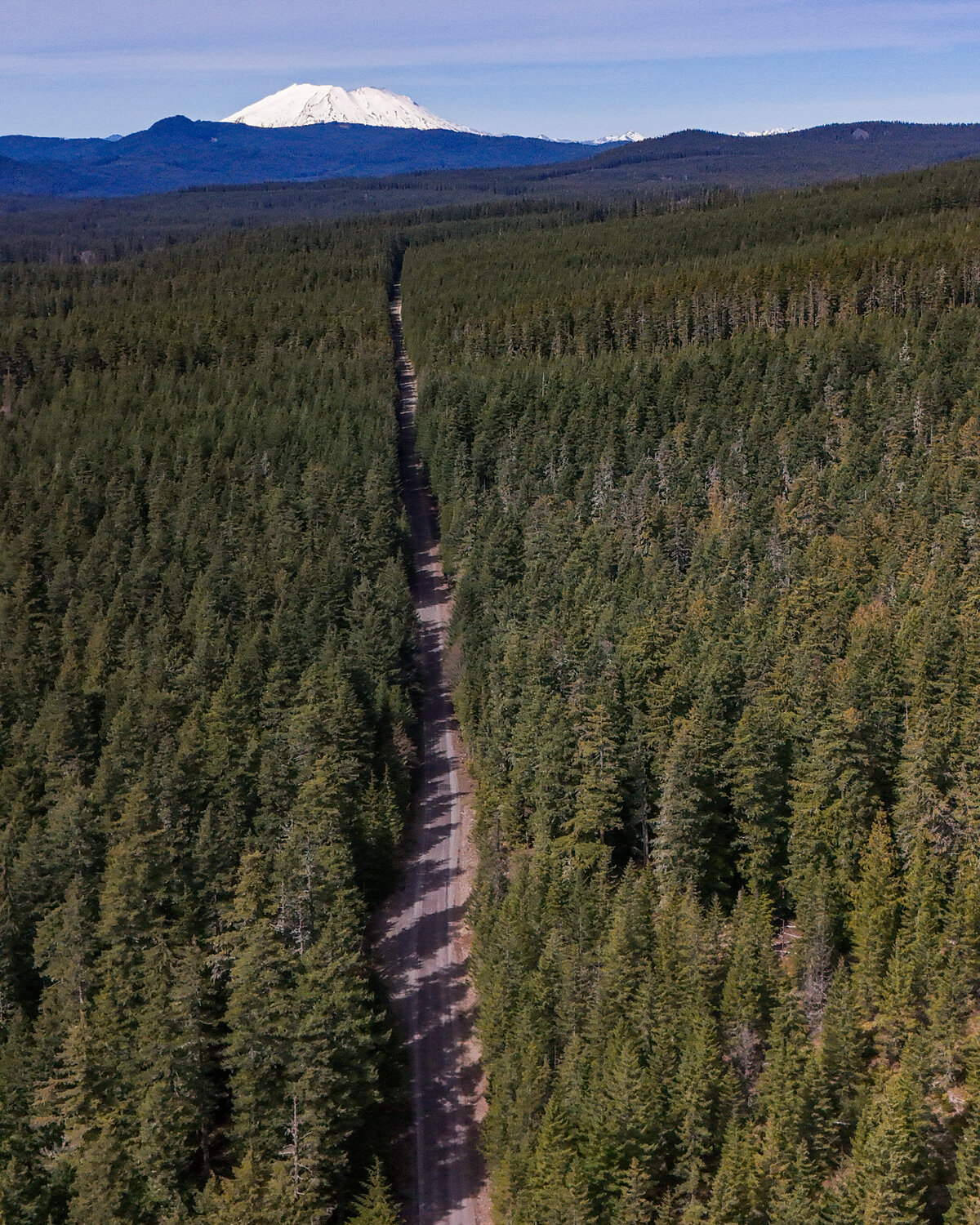 Feds act to remove restrictions in national forests