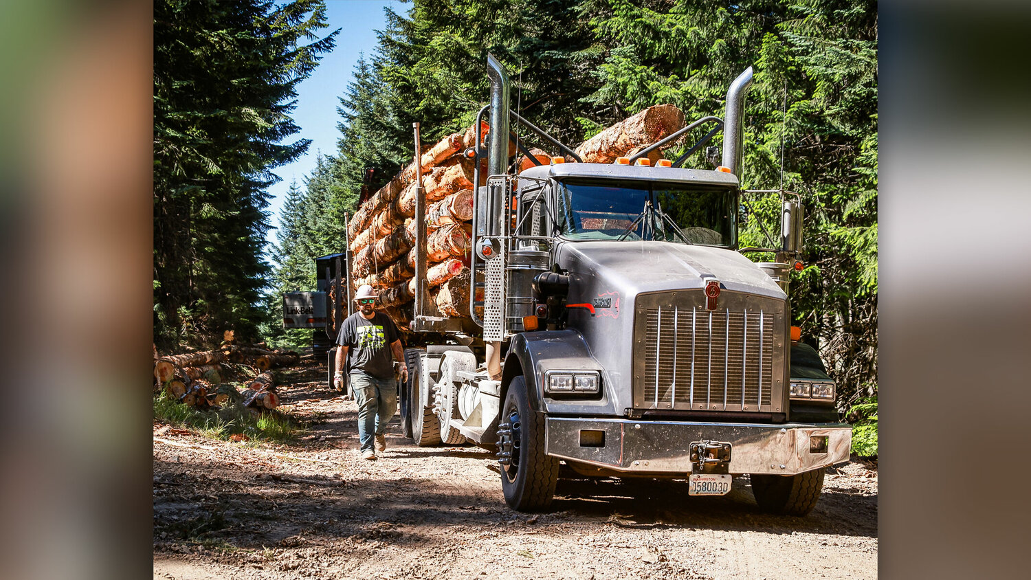 New funding proposed to protect forest lands | The Reflector