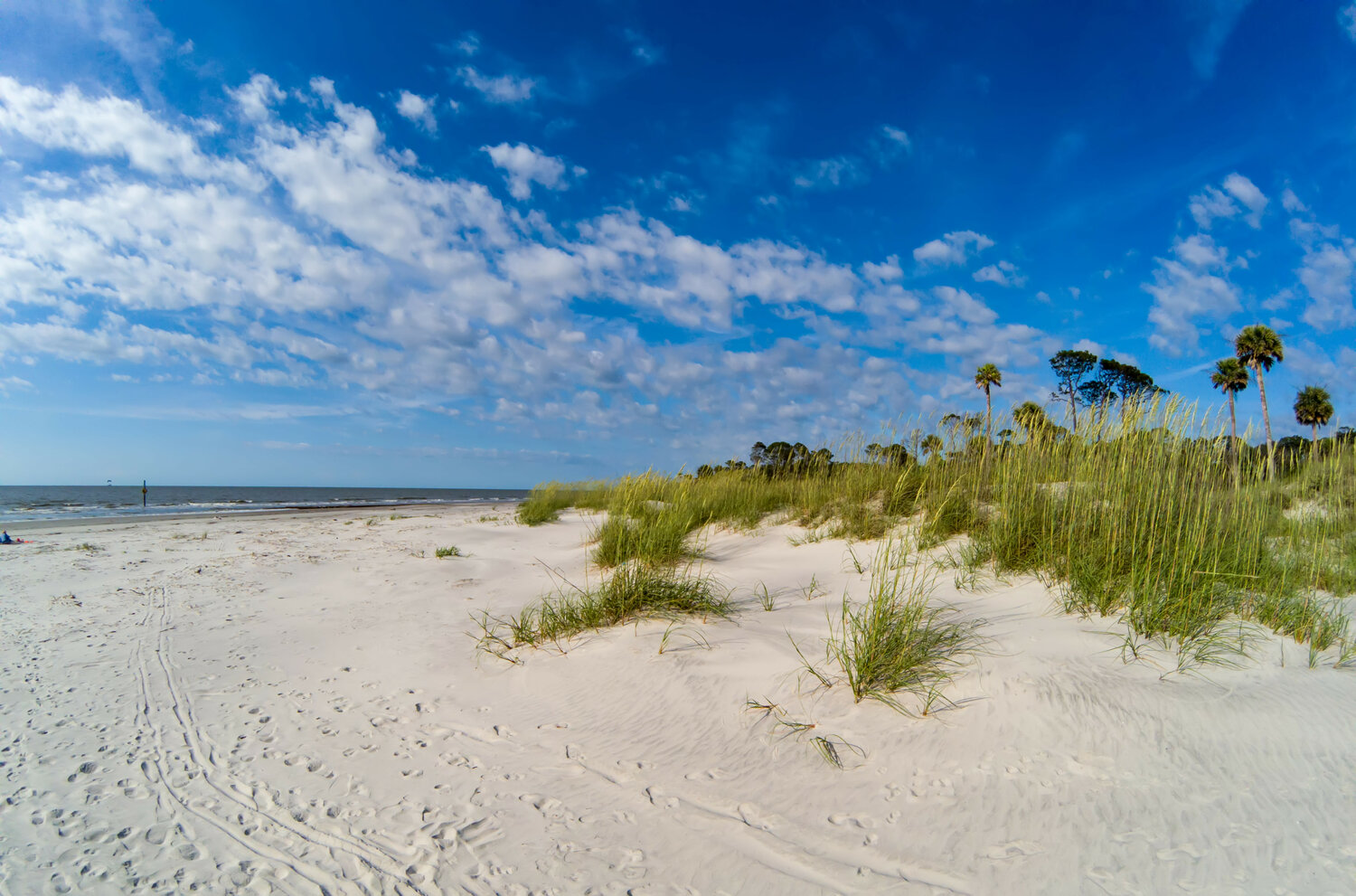 Edisto Beach Regulations and Etiquette tips Walterboro Live