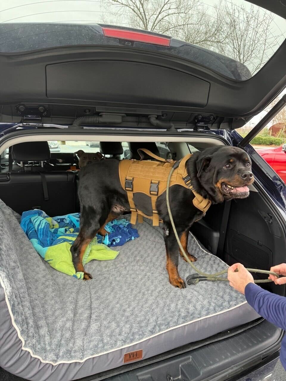 Colleton County Animal Services Receives Grant for National Adoption Challenge